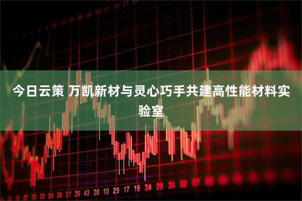 今日云策 万凯新材与灵心巧手共建高性能材料实验室