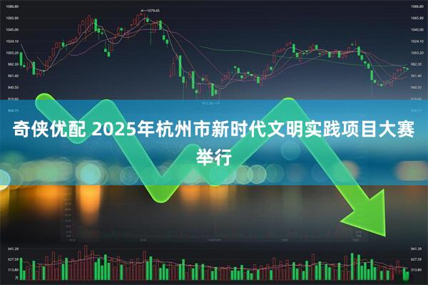 奇侠优配 2025年杭州市新时代文明实践项目大赛举行