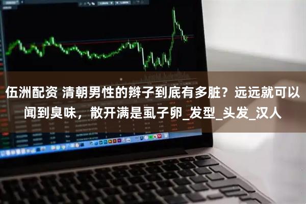 伍洲配资 清朝男性的辫子到底有多脏？远远就可以闻到臭味，散开满是虱子卵_发型_头发_汉人