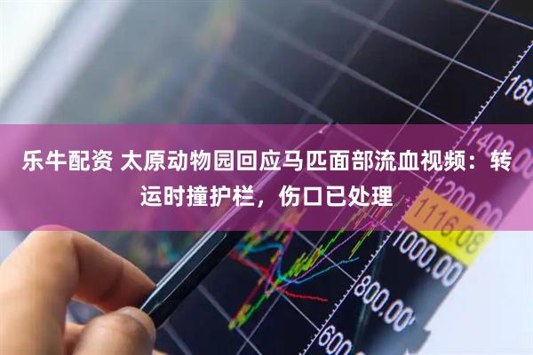乐牛配资 太原动物园回应马匹面部流血视频：转运时撞护栏，伤口已处理