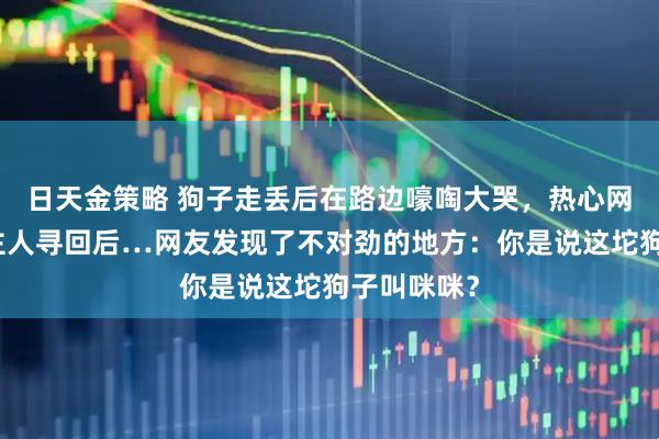 日天金策略 狗子走丢后在路边嚎啕大哭,热心网友报警让主人寻回后…网友发现了不对劲的地方:你是说这坨狗子叫咪咪?